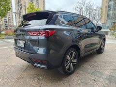 Ford Lingrui 2023 EcoBoost 170 Platinum Edition - ფოტო 8