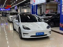 Tesla Model 3 2022 Rear-Wheel Drive - ფოტო 3