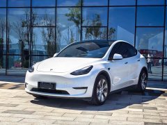 Tesla Model Y Long Range All-Wheel Drive - ფოტო 1