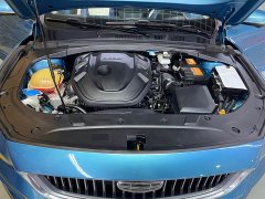 Geely Xingui Xingrui Facelift 2.0T Diesel Premium - photo 17