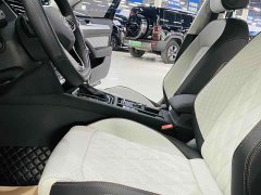 Volkswagen Magotan 2024 2 Million Units Celebration Edition 330TSI DSG Luxury - ფოტო 9