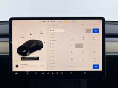 Tesla Model Y Standard Range RWD - ფოტო 12