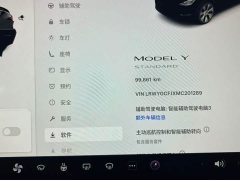 Tesla Model Y Standard Range RWD - ფოტო 13