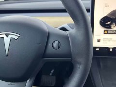 Tesla Model Y Standard Range RWD - ფოტო 8