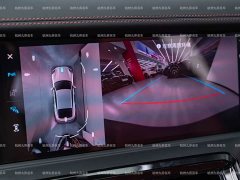 Porsche 2024 Panamera 2.9T - ფოტო 20