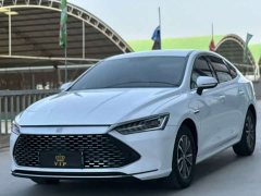 BYD Qin PLUS Glory Edition DM-i 55KM Leading - ფოტო 1