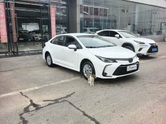 Toyota Corolla 2023 1.2T Pioneer Edition - ფოტო 2