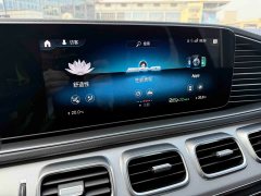 Mercedes-Benz GLE AMG GLE 53 4MATIC - ფოტო 10