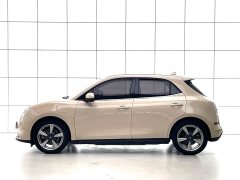 ORA Good Cat 400km Standard Range Deluxe Edition LFP Battery - ფოტო 7
