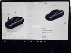 Tesla Model Y Rear-Wheel Drive - ფოტო 4
