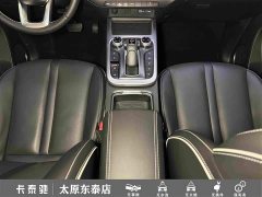 Tank 300 Off-Road Edition 2.0T Conqueror - ფოტო 20