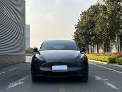 Tesla Model Y Rear-Wheel Drive - ფოტო 3