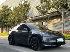 Tesla Model Y Rear-Wheel Drive - ფოტო 4