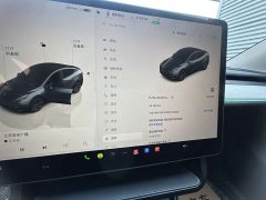 Tesla Model Y Rear-Wheel Drive - ფოტო 9