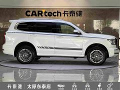 Tank 500 3.0T Business Edition Landscape Trim 5-Seater - ფოტო 8
