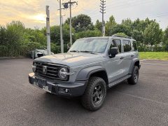 Tank 300 2.0T Challenger - ფოტო 1