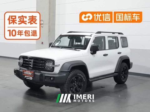 2021 Tank 300 Off-Road Edition 2.0T Conqueror - ავტომობილი ჩინეთიდან
