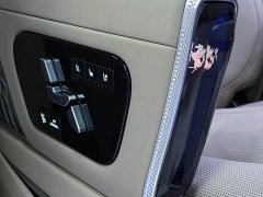 Buick GL8 Land Executive Cabin Comfort DG Edition - ფოტო 11