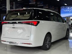 Buick GL8 Land Executive Cabin Comfort DG Edition - ფოტო 13
