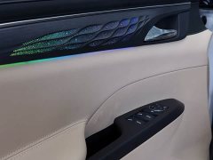 Buick GL8 Land Executive Cabin Comfort DG Edition - ფოტო 13