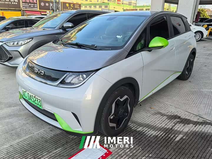 BYD Dolphin 405km Fashion Edition - ავტომობილი ჩინეთიდან