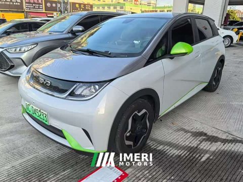 2022 BYD Dolphin 405km Fashion Edition - ავტომობილი ჩინეთიდან