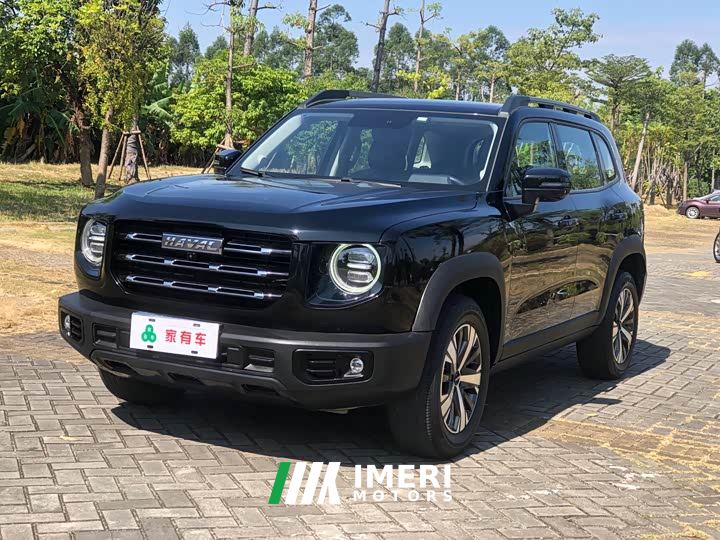 Great Wall Dachshund 1.5T DCT Two-Wheel Drive Labrador Edition