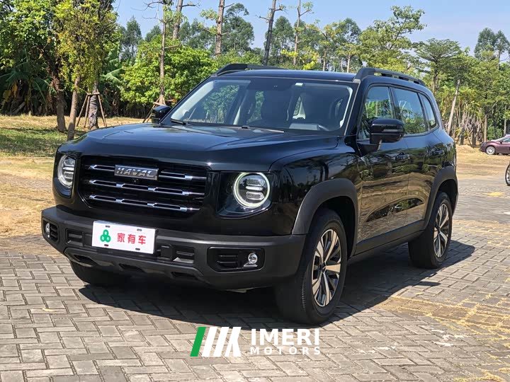 Great Wall Dachshund 2021 1.5T DCT Two-Wheel Drive Labrador Edition - ავტომობილი ჩინეთიდან