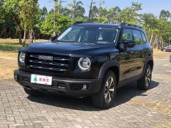 Great Wall Dachshund 2021 1.5T DCT Two-Wheel Drive Labrador Edition - ფოტო 1
