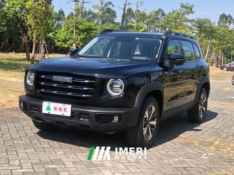 2023 Great Wall Dachshund 1.5T DCT Two-Wheel Drive Labrador Edition
