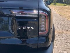 Great Wall Dachshund 2021 1.5T DCT Two-Wheel Drive Labrador Edition - ფოტო 12