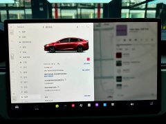 Tesla Model X Dual Motor All-Wheel Drive - ფოტო 15
