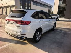 Haval M6 2021 PLUS 1.5T DCT Elite Smart Connected Edition - ფოტო 11