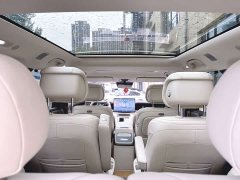 Denza BYD Denza N9 Premium Edition - ფოტო 15