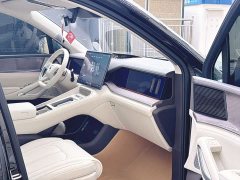 Denza BYD Denza N9 Premium Edition - ფოტო 18