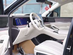 Denza BYD Denza N9 Premium Edition - ფოტო 4