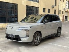 Denza BYD Denza N8L Flagship - ფოტო 2