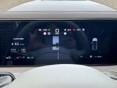 Denza BYD Denza N8L Flagship - ფოტო 6