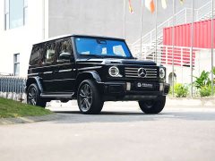 Mercedes-Benz G-Class G 450 d - ფოტო 1