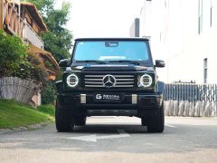 Mercedes-Benz G-Class G 450 d - ფოტო 2