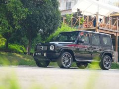 Mercedes-Benz G-Class G 450 d - ფოტო 3
