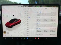 Tesla Model 3 2023 Rear-Wheel Drive - ფოტო 16