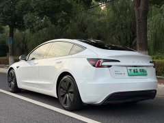 Tesla Model 3 2023 Rear-Wheel Drive - ფოტო 3