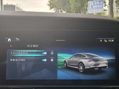 Mercedes-Benz AMG GT AMG GT 50 Four-Door Coupe China Special Edition - ფოტო 17
