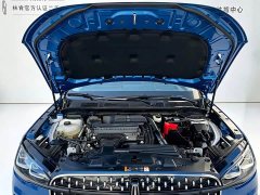 Lincoln Adventurer 2.0T AWD Premium Edition - ფოტო 8