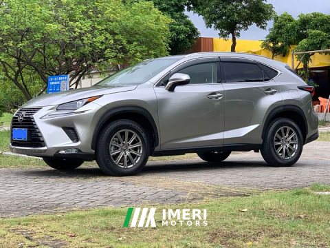 2021 Lexus NX 2020 200 FWD Sharp Edition National VI - ავტომობილი ჩინეთიდან