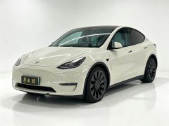 Tesla Model Y 2022 Performance All-Wheel Drive - ფოტო 1
