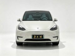 Tesla Model Y 2022 Performance All-Wheel Drive - ფოტო 2