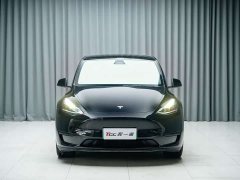 Tesla Model Y Rear-Wheel Drive - ფოტო 2