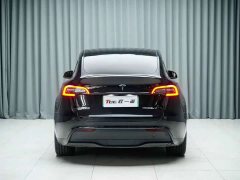 Tesla Model Y Rear-Wheel Drive - ფოტო 9